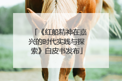 《红船精神在嘉兴的时代实践与探索》白皮书发布