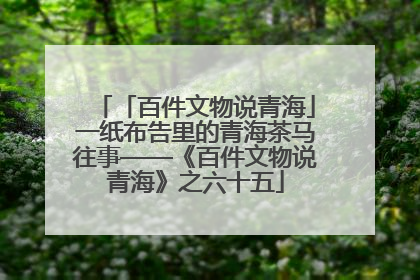 「百件文物说青海」一纸布告里的青海茶马往事——《百件文物说青海》之六十五