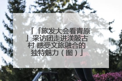 「旅发大会看青原」采访团走进渼陂古村 感受文旅融合的独特魅力（图）
