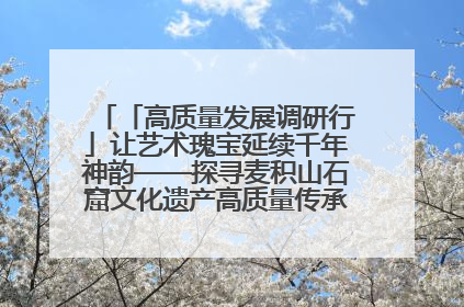 「高质量发展调研行」让艺术瑰宝延续千年神韵——探寻麦积山石窟文化遗产高质量传承保护的奥秘