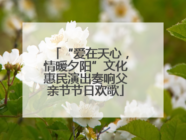 “爱在天心，情暖夕阳”文化惠民演出奏响父亲节节日欢歌