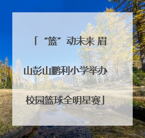 “篮”动未来 眉山彭山鹏利小学举办校园篮球全明星赛
