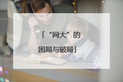 “网大”的困局与破局