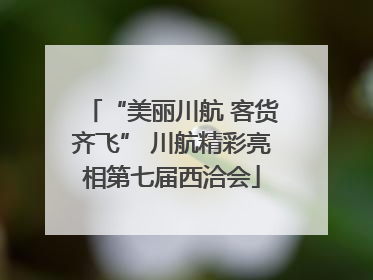 “美丽川航 客货齐飞” 川航精彩亮相第七届西洽会