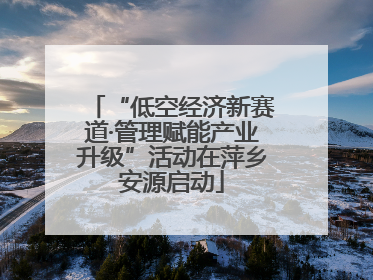 “低空经济新赛道·管理赋能产业升级”活动在萍乡安源启动