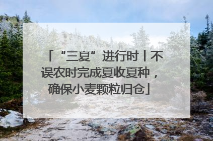 “三夏”进行时丨不误农时完成夏收夏种，确保小麦颗粒归仓