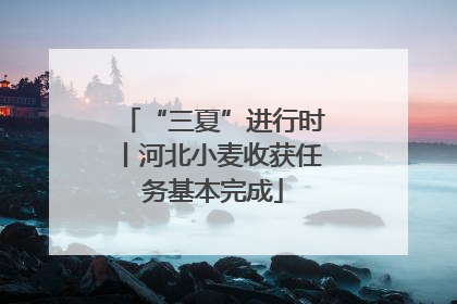 “三夏”进行时丨河北小麦收获任务基本完成