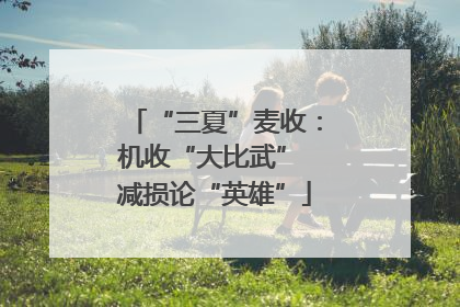 “三夏”麦收：机收“大比武” 减损论“英雄”