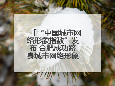 “中国城市网络形象指数”发布 合肥成功跻身城市网络形象榜单第一方阵