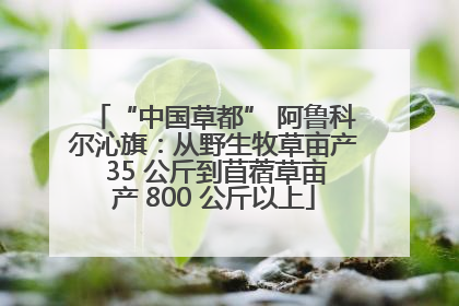 “中国草都” 阿鲁科尔沁旗：从野生牧草亩产 35 公斤到苜蓿草亩产 800 公斤以上