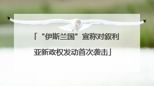 “伊斯兰国”宣称对叙利亚新政权发动首次袭击