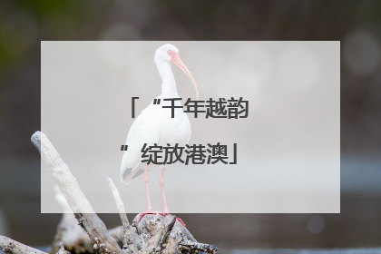 “千年越韵”绽放港澳