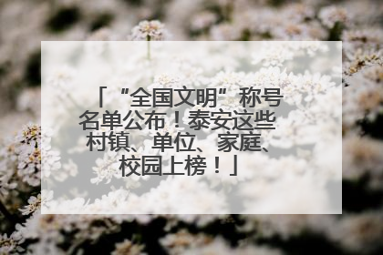 “全国文明”称号名单公布！泰安这些村镇、单位、家庭、校园上榜！