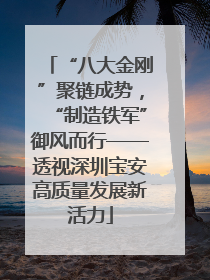 “八大金刚”聚链成势，“制造铁军”御风而行——透视深圳宝安高质量发展新活力