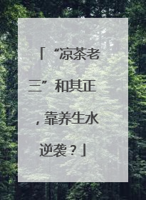 “凉茶老三”和其正，靠养生水逆袭？