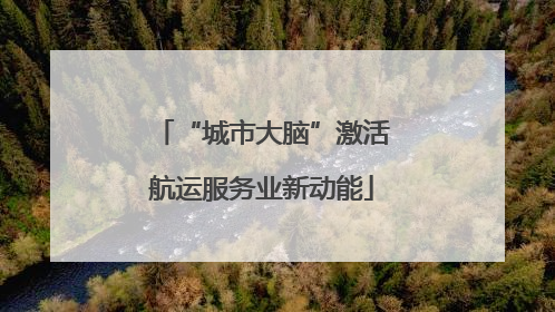 “城市大脑”激活航运服务业新动能