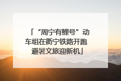 “周宁有鲤号”动车组在衢宁铁路开跑 避暑文旅迎新机