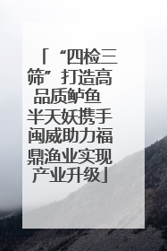 “四检三筛”打造高品质鲈鱼 半天妖携手闽威助力福鼎渔业实现产业升级