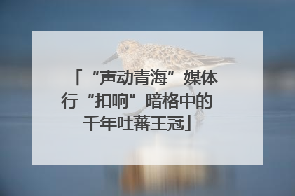 “声动青海”媒体行“扣响”暗格中的千年吐蕃王冠