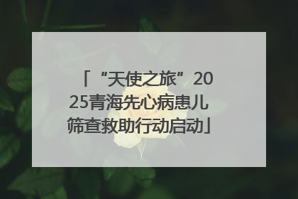 “天使之旅”2025青海先心病患儿筛查救助行动启动