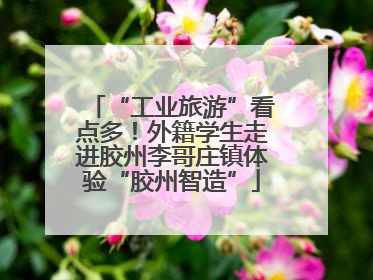 “工业旅游”看点多！外籍学生走进胶州李哥庄镇体验“胶州智造”