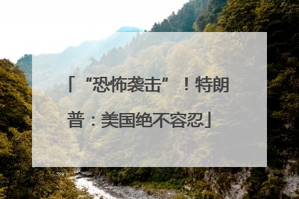 “恐怖袭击”！特朗普：美国绝不容忍