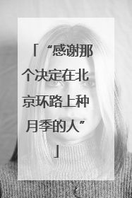 “感谢那个决定在北京环路上种月季的人”
