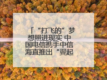 “打飞的”梦想照进现实 中国电信携手中信海直推出“翼起飞”空中旅游