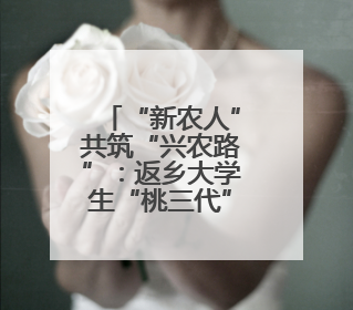 “新农人”共筑“兴农路”：返乡大学生“桃三代”让老树结新果