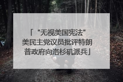 “无视美国宪法” 美民主党议员批评特朗普政府向洛杉矶派兵