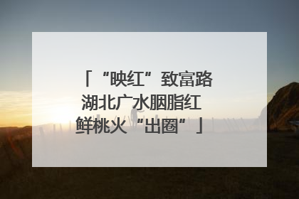 “映红”致富路 湖北广水胭脂红鲜桃火“出圈”