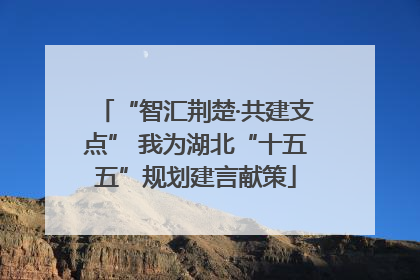 “智汇荆楚·共建支点” 我为湖北“十五五”规划建言献策