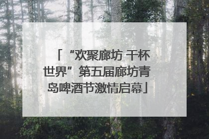 “欢聚廊坊 干杯世界”第五届廊坊青岛啤酒节激情启幕