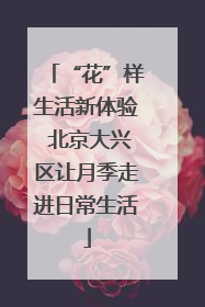 “花”样生活新体验 北京大兴区让月季走进日常生活