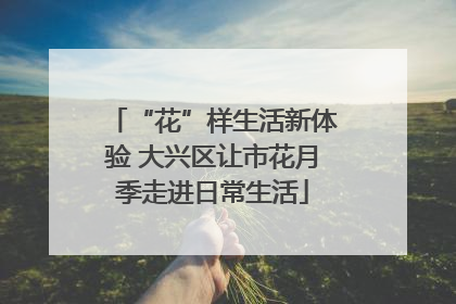 “花”样生活新体验 大兴区让市花月季走进日常生活