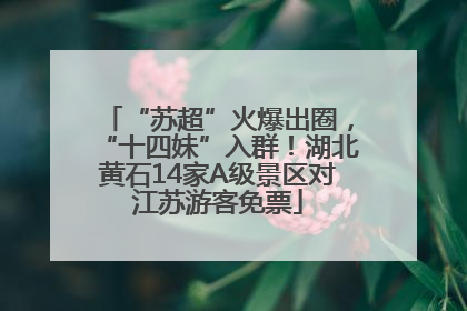 “苏超”火爆出圈，“十四妹”入群！湖北黄石14家A级景区对江苏游客免票