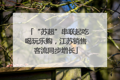 “苏超”串联起吃喝玩乐购，江苏销售客流同步增长
