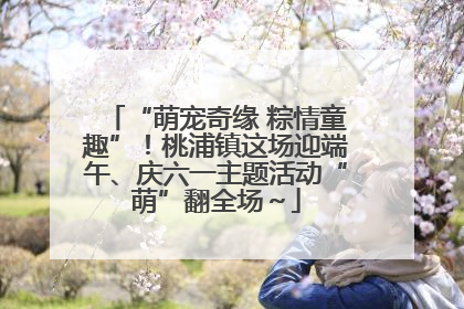 “萌宠奇缘 粽情童趣”！桃浦镇这场迎端午、庆六一主题活动“萌”翻全场～
