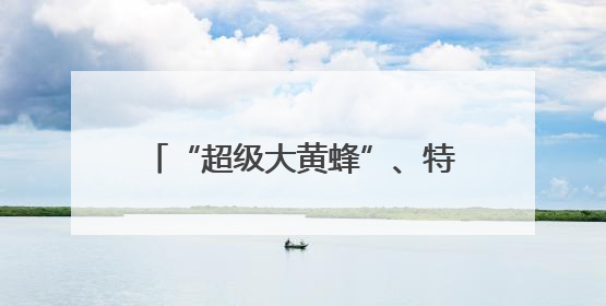 “超级大黄蜂”、特色涂装苏-30MKM 众多明星装备亮相