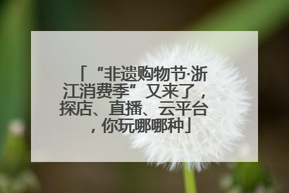 “非遗购物节·浙江消费季”又来了，探店、直播、云平台，你玩哪哪种