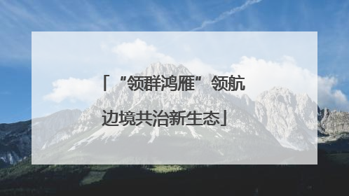 “领群鸿雁”领航边境共治新生态