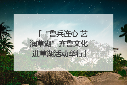 “鲁兵连心 艺润草湖”齐鲁文化进草湖活动举行