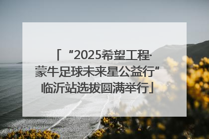 “2025希望工程·蒙牛足球未来星公益行”临沂站选拔圆满举行