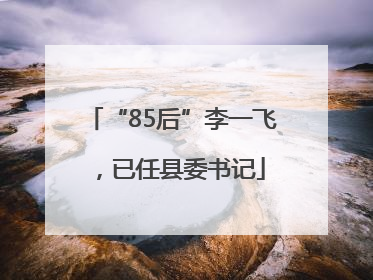 “85后”李一飞，已任县委书记