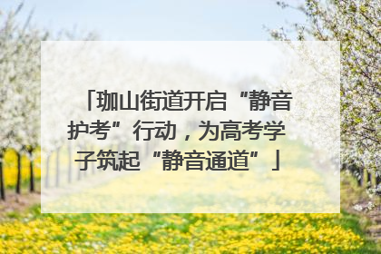 珈山街道开启“静音护考”行动，为高考学子筑起“静音通道”