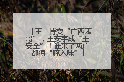 王一博变“广西表哥”，王安宇成“王安全”！谁来了两广都得“腌入味”