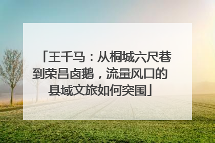 王千马：从桐城六尺巷到荣昌卤鹅，流量风口的县域文旅如何突围