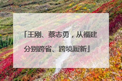王刚、蔡志勇，从福建分别跨省、跨境履新