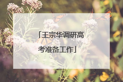 王宗华调研高考准备工作