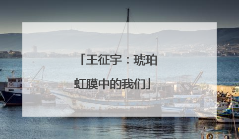 王征宇：琥珀虹膜中的我们